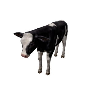 Npc calf 0.png
