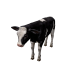 Npc calf 0.png