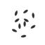 Item watermelonseeds.png