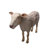 Npc sheepshorn 0.png