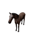 Npc foal 0.png